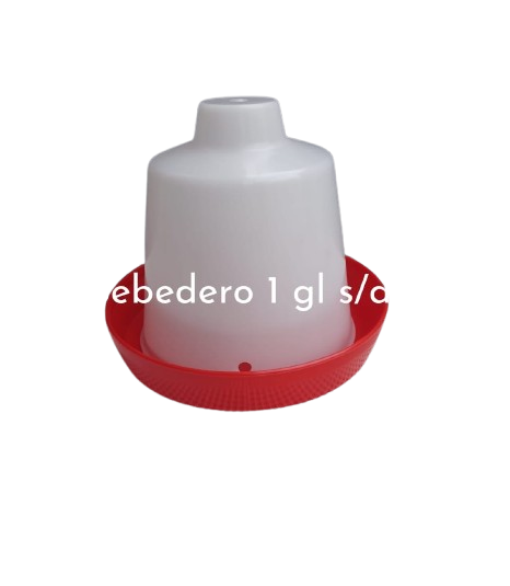 12 removebg preview