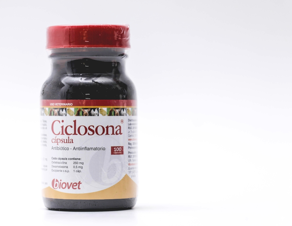 Ciclosona capsula