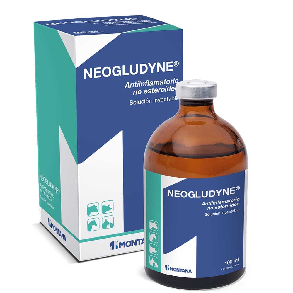Neogludyne