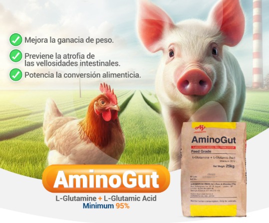 aminogut 2