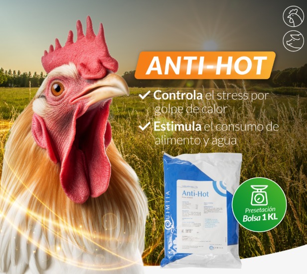 antihot 2