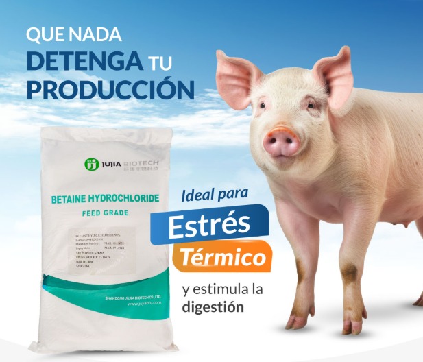 betaine hydrochloride