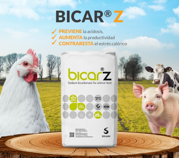 bicar z