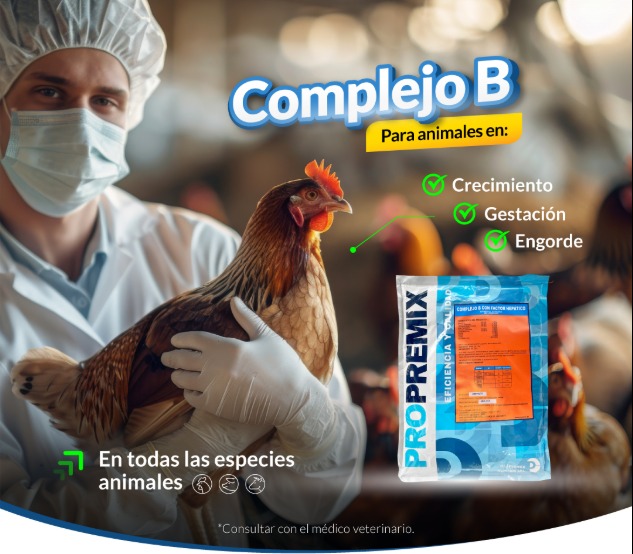 complejo B propremix 2