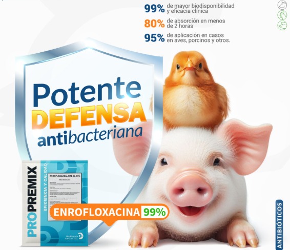 enrofloxacina antibacteriana