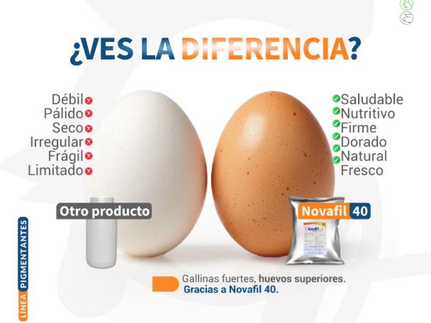 huevo novafil 40