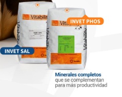 invet phos