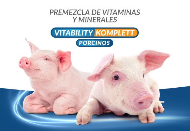 komplett porcinos cerdos
