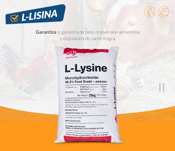 l lisina