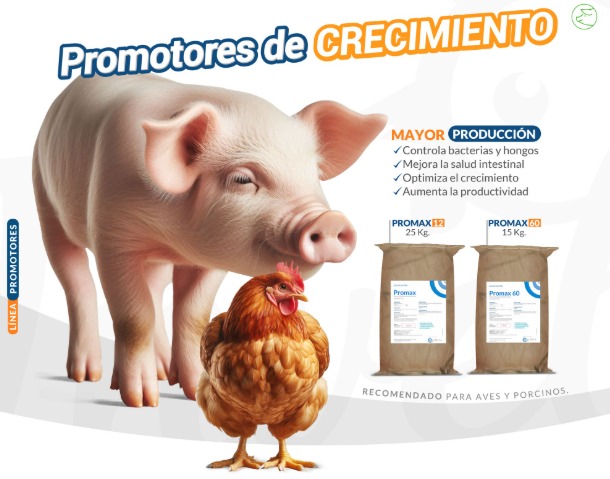 promax 10 y 60