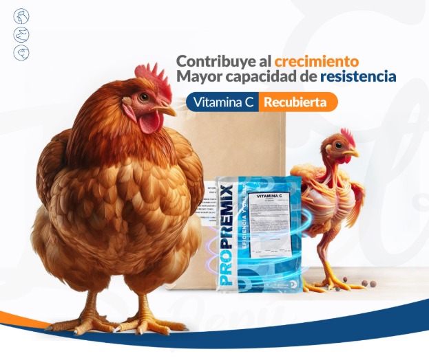 propremix vitamina c