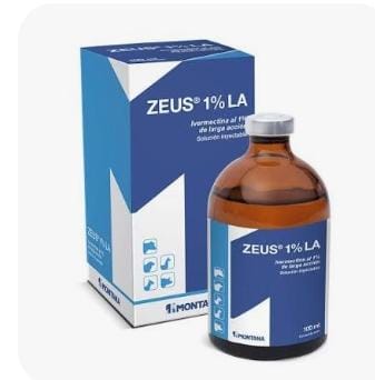 zeus 1 LA